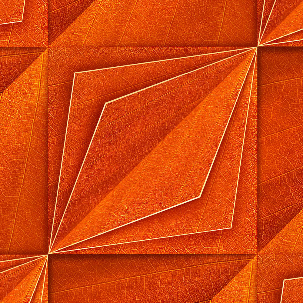Orange Bloom Wallpaper