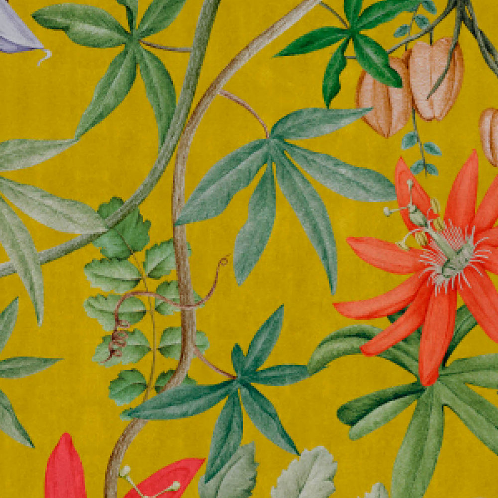 Passiflora Wallpaper Sample Swatch