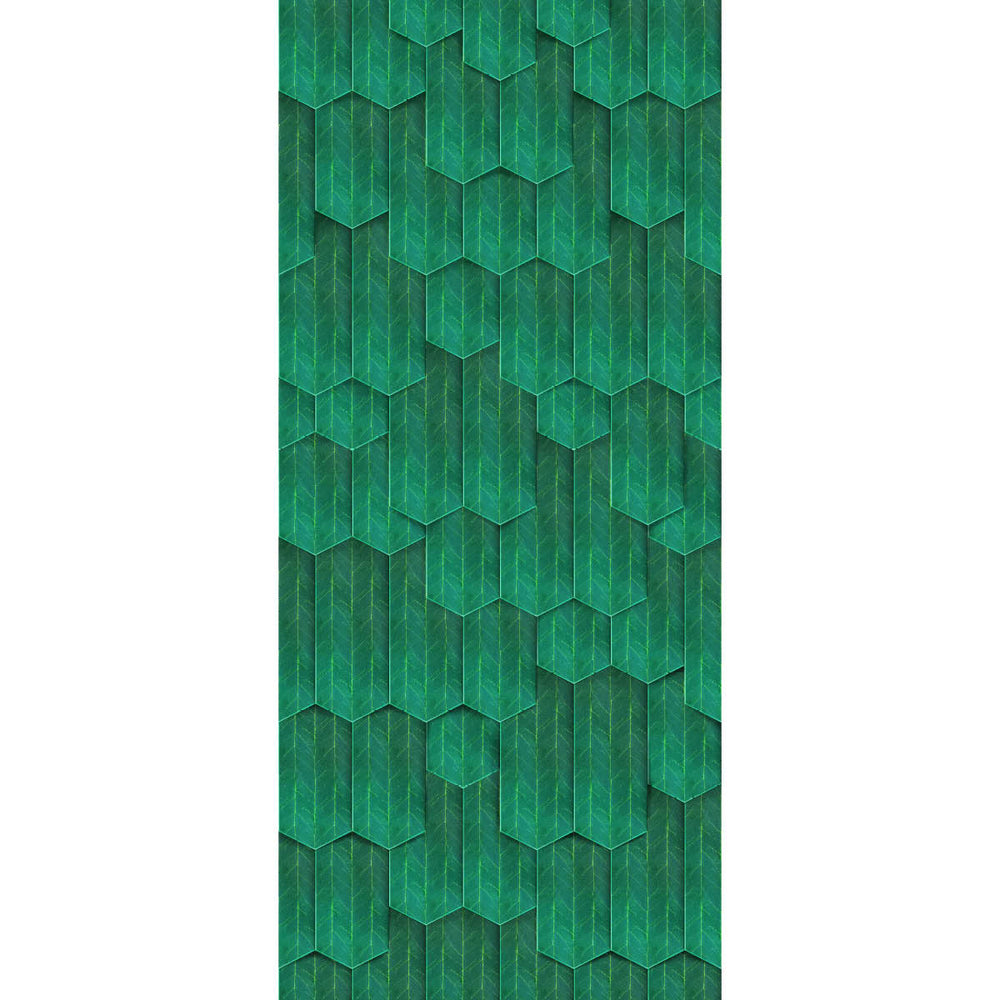 Rainy Woods Wallpaper