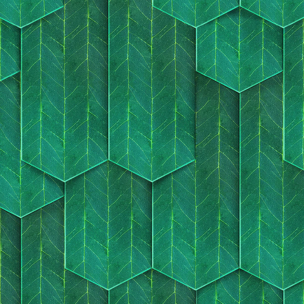 Rainy Woods Wallpaper