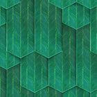 Rainy Woods Wallpaper