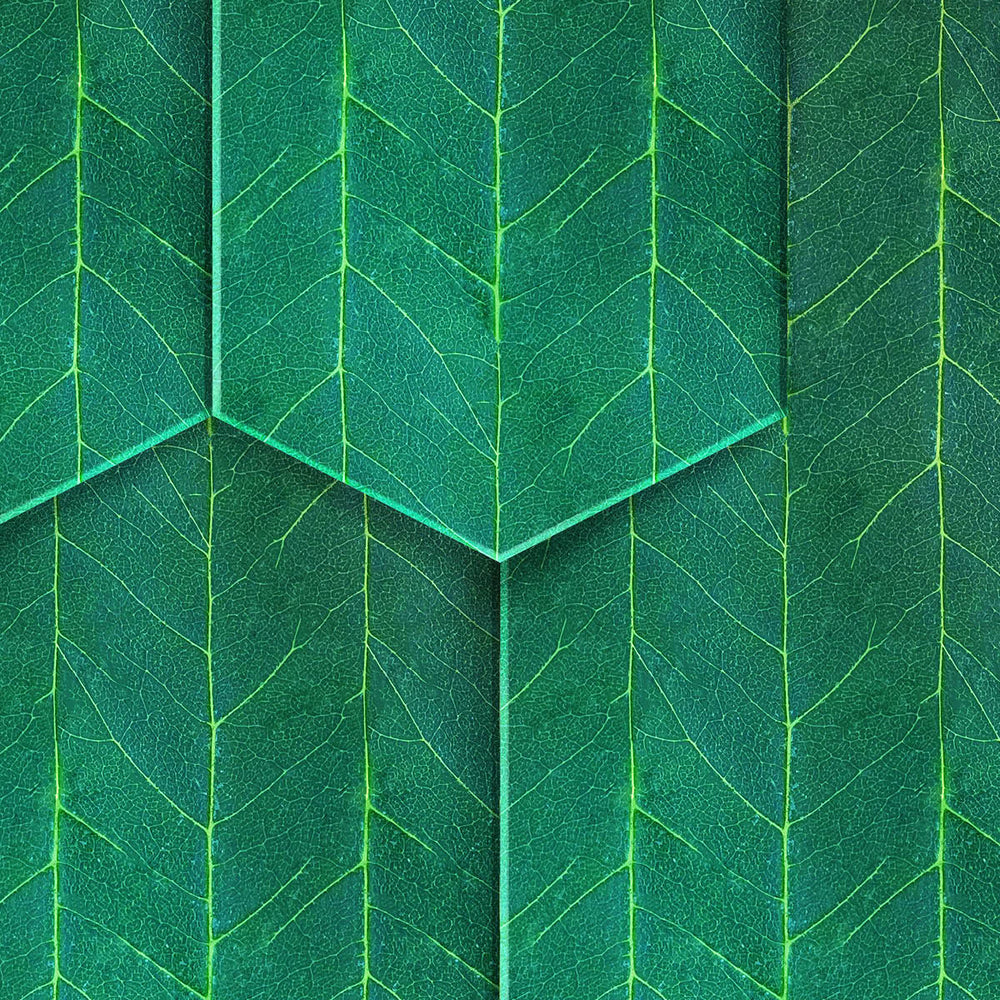 Rainy Woods Wallpaper