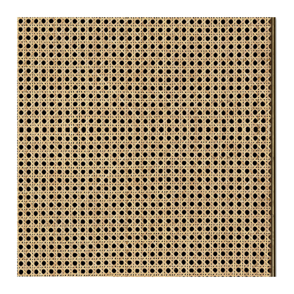 Webbing Wallpaper Sample Swatch - Mr & Mrs Vintage for NLXL