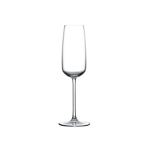 Mirage Champagne Glass (Set of 4)