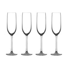 Vintage Champagne Glass (Set of 4)