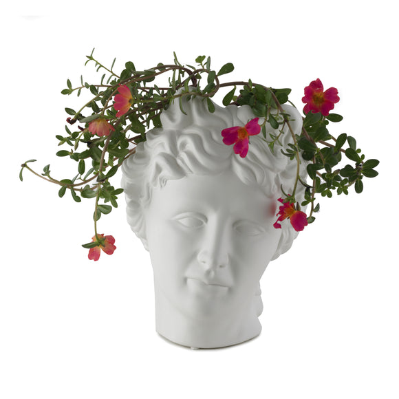 Guiditta Vase