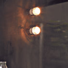 Fresnel Wall Light