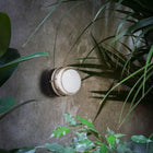 Fresnel Wall Light