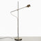G.O. Floor Lamp  option Anodic Bronze