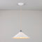 Cobb Large Pendant Light  option Standard