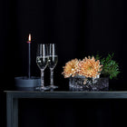 Carat Champagne Flute (Set of 2)