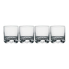 Erik Double Old Fashioned Glass (Set of 4)