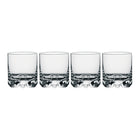 Erik Double Old Fashioned Glass (Set of 4)