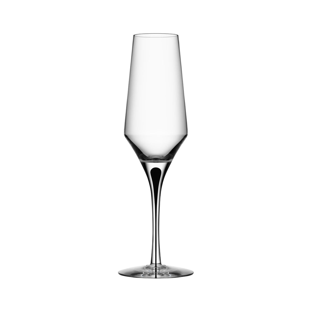 Metropol Champagne Glass (Set of 2)