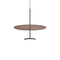 Sky Dome Pendant Light  option Matte Black / Walnut