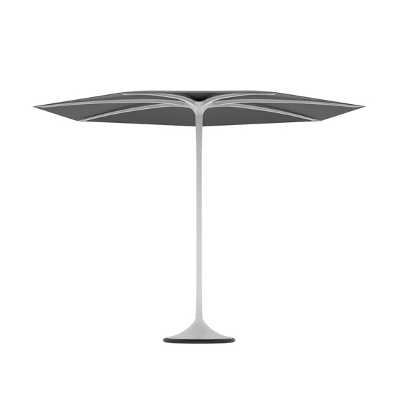 Palma Umbrella