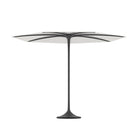 Palma Umbrella