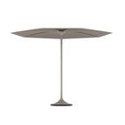 Palma Umbrella