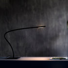 Paraph LED Table Lamp