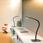 Paraph LED Table Lamp