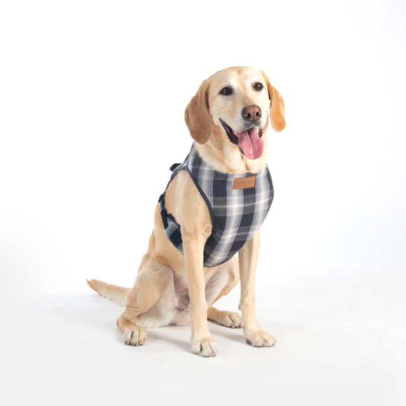 Classics Dog Harness