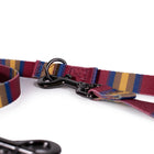 National Park Adventure Collar Set