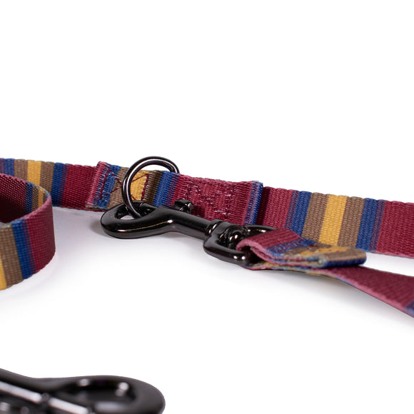 National Park Adventure Collar Set