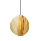 Proxima Pendant Light