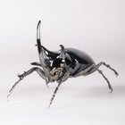 Rhinoceros Beetle Figurine