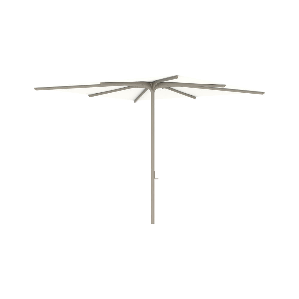 Bloom Square Umbrella