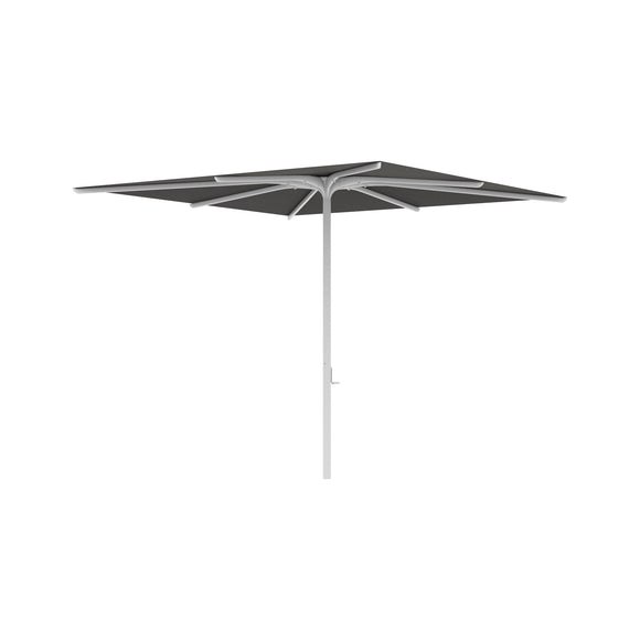 Bloom Square Umbrella
