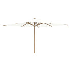 Shady Square Teak Umbrella