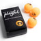 RS Stationary Ping Pong Table  option Balls (Set of 6)