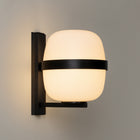 Wally Cesta Wall Light