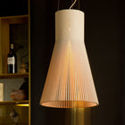 Magnum 4202 Pendant Light