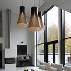 Magnum 4202 Pendant Light