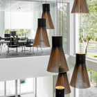 Magnum 4202 Pendant Light