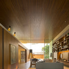 Magnum 4202 Pendant Light