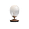 Mist LED Table Lamp  option Pearl Cocoa
