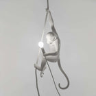 Monkey Outdoor Ceiling Lamp