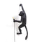 Monkey Outdoor Hanging Lamp  option Right