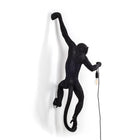 Monkey Outdoor Hanging Lamp