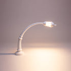 Sidonia Table Lamp