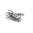Wunderkammer Bug Out