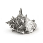 Wunderkammer Shell