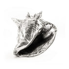 Wunderkammer Shell