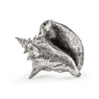 Wunderkammer Shell