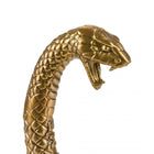 Wunderkammer Snake