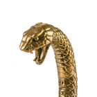 Wunderkammer Snake