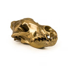 Wunderkammer Wolf Skull